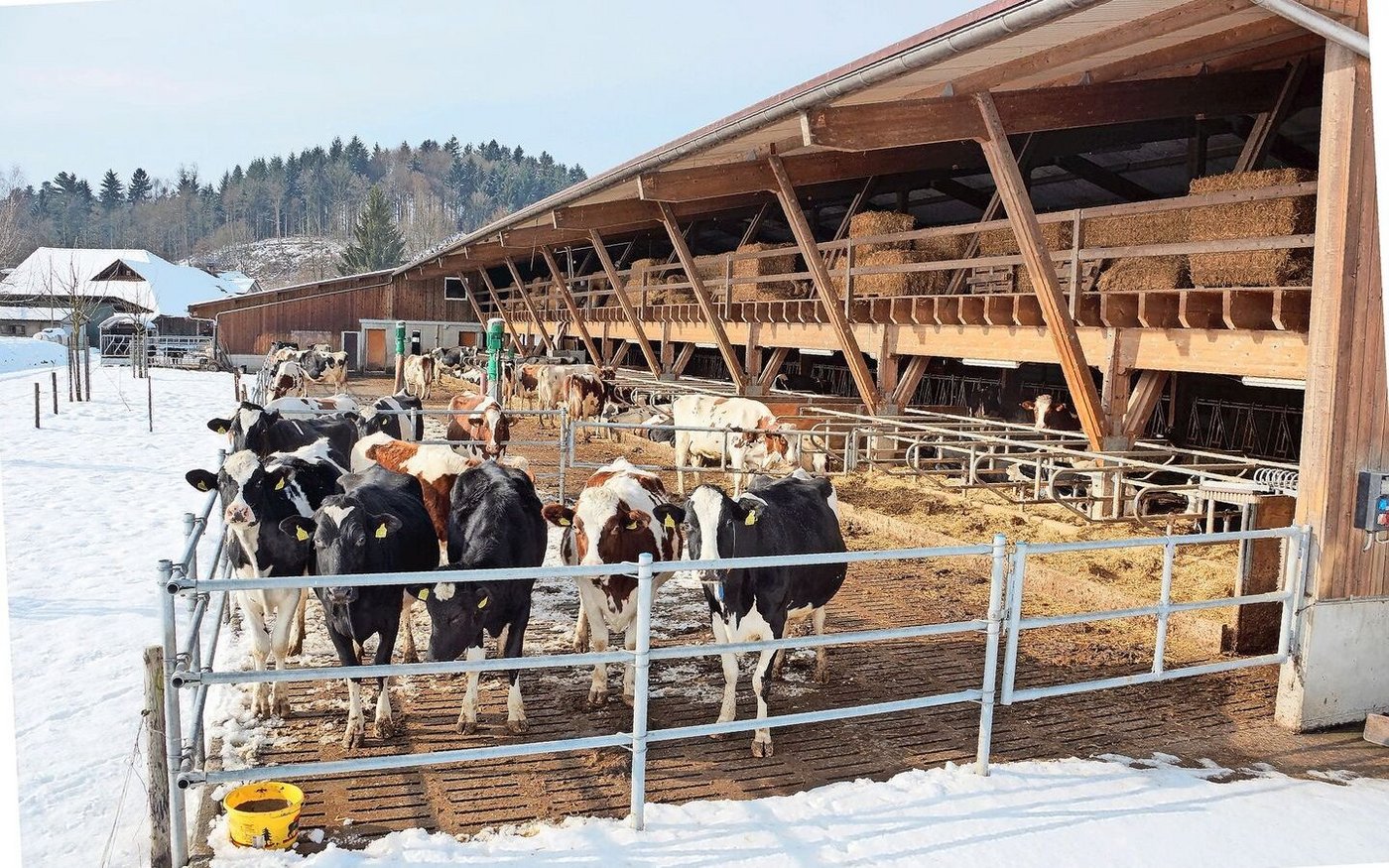 Dieser Laufhof für den Winter ist sicher RAUS-konform. Das gilt nicht für alle Laufhöfe innerhalb Gebäuden.  