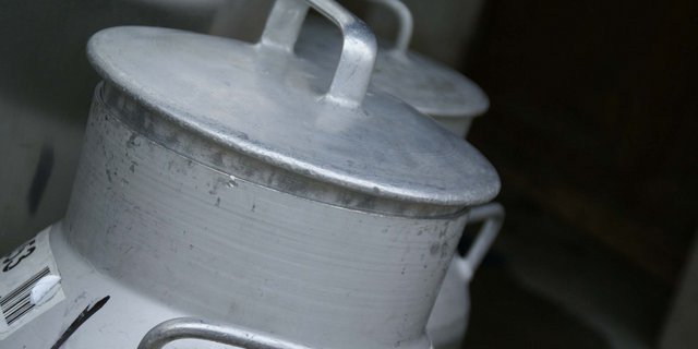 In einer Pilotphase, die von Oktober bis Dezember dauert, erhalten die rund 40 teilnehmenden Betriebe 3 Rappen pro Kilo Milch mehr ausbezahlt. (Bild lid)