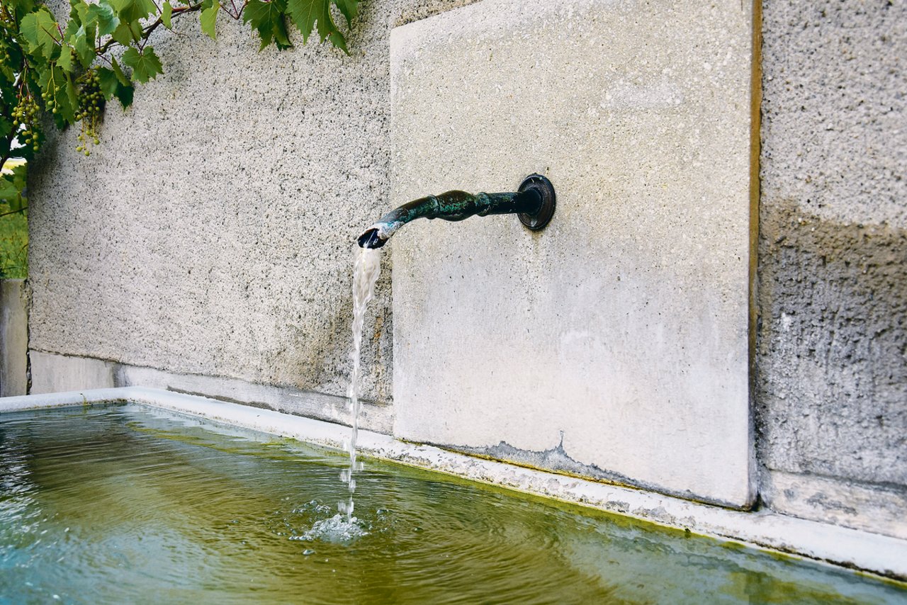 In 80 Prozent der Trinkwasserverteilnetze im Kanton Zürich kann der Grenzwert für Chlorothalonil eingehalten werden.(Bild zVg)