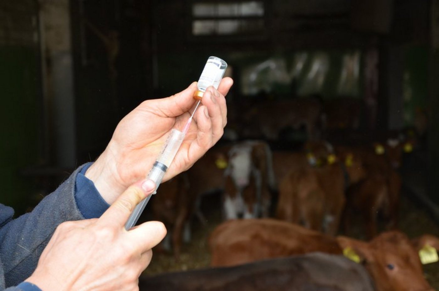 GST sieht grosse Risiken in den neuen Richtlinien. (Bild Aline Küenzi)