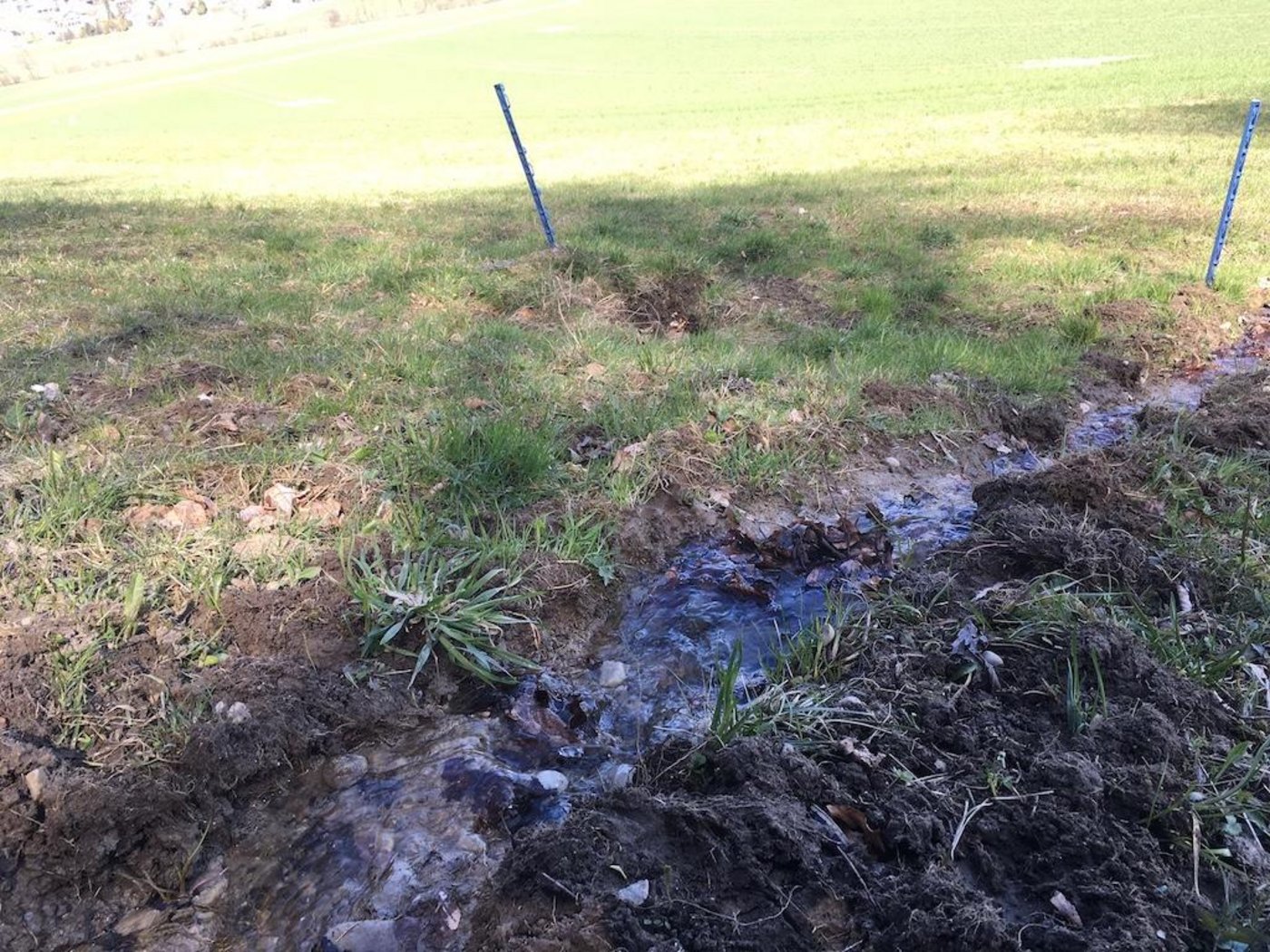 Der Bundesrat verweist auf die Erfolge bisheriger und für die Zukunft geplante Massnahmen zum Schutz von Umwelt und Gewässern. (Bild jsc)
