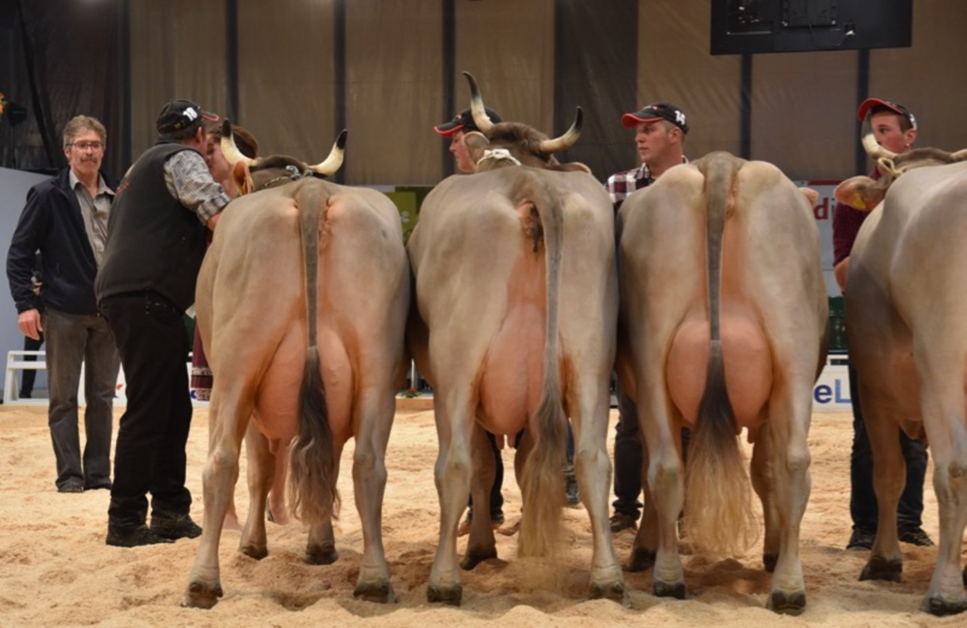 Die Siegerinnen der 2. Abteilung von links nach rechts. 