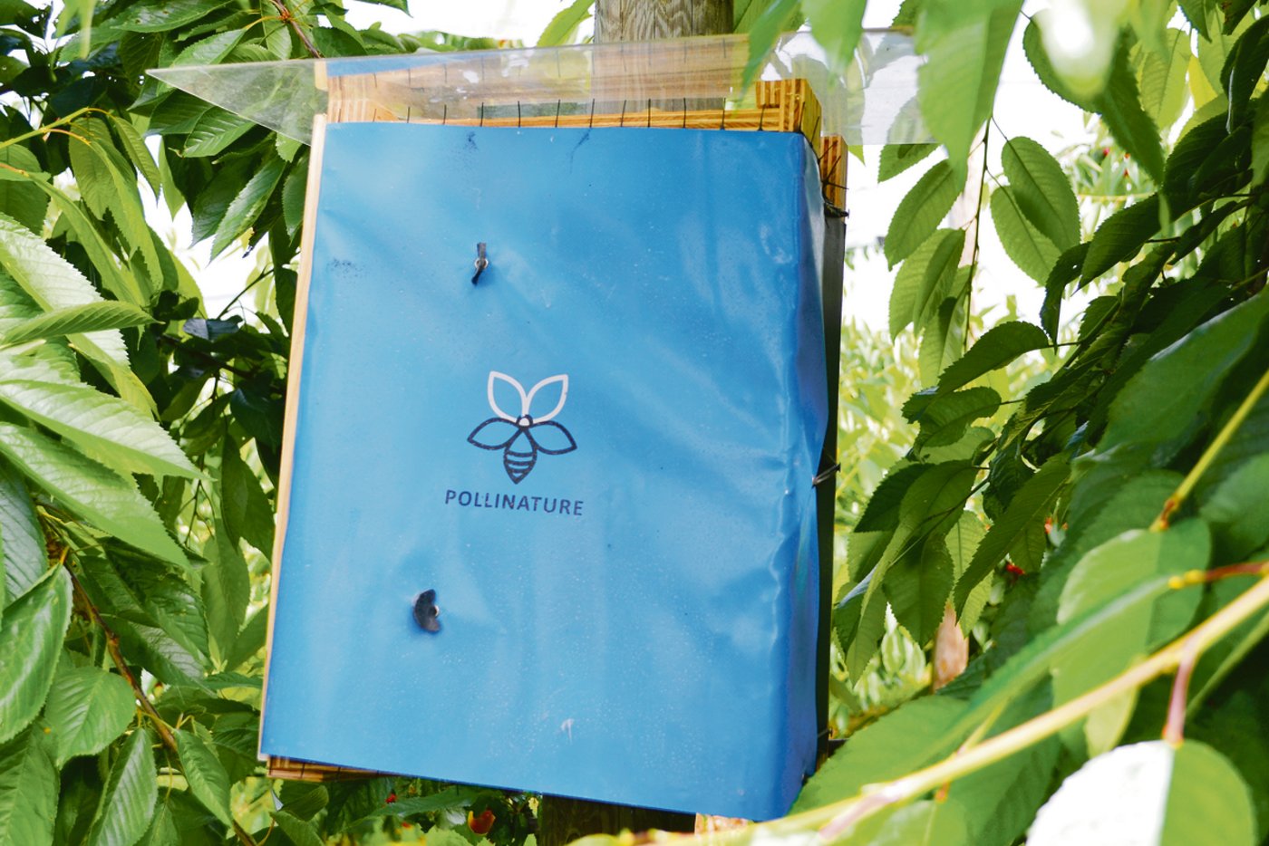 Eine Abdeckung schützt vor Pflanzenschutzmitteln.(Bild jsc)