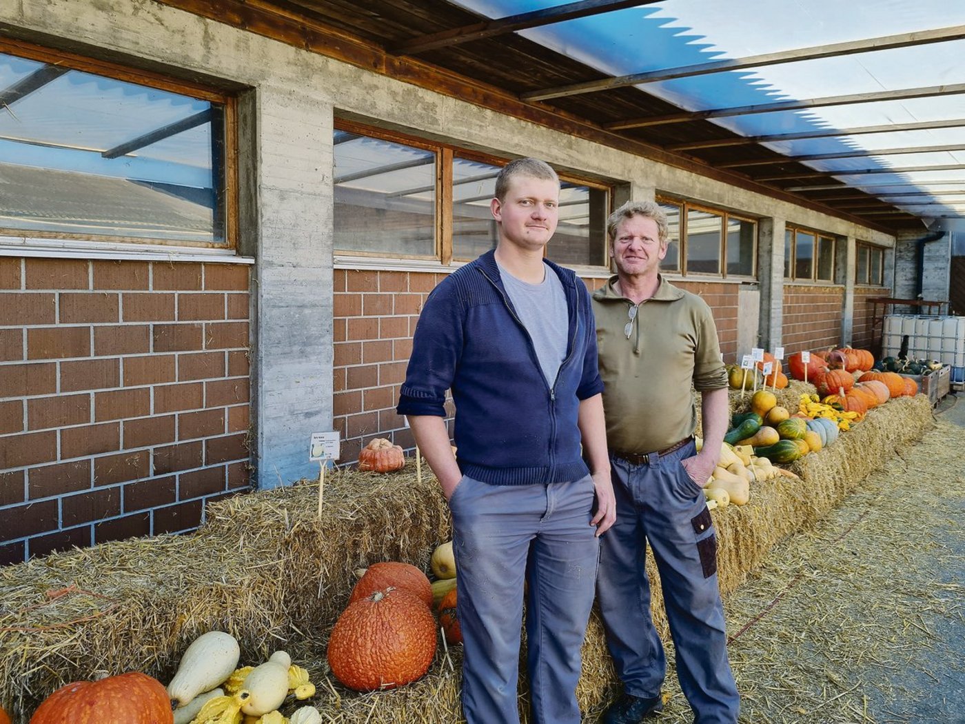Die Kürbisausstellung ging Ende Oktober zu Ende. Tobias und Walter Bühlmann stehen vor den letzten Kürbissen, die es noch zu kaufen gibt. Seit diesem Jahr führen Vater und Sohn den Betrieb gemeinsam.(Bild Franziska Jurt)