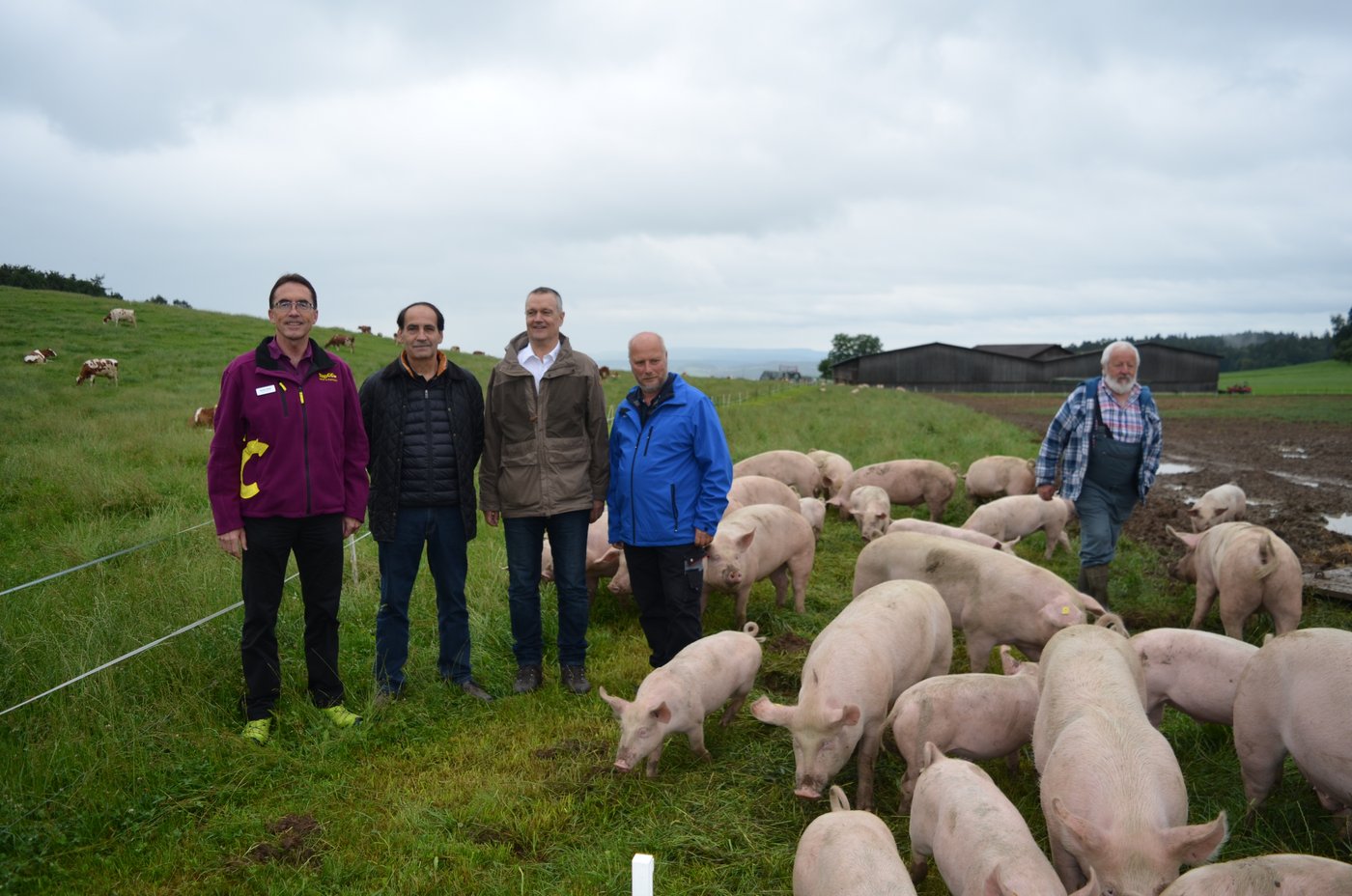 Sie sind überzeugt von den Vorzügen der Freilandhaltung von Schweinen (v. l. n.r.): Dominic Möckli, Leiter TopCC AG; Hansuli Huber, Geschäftsführer Schweizer Tierschutz STS; Nutztierhändler Linus Silvestri und Urs Urs Hartmann, Leiter Landwirtschaft, Massnahmenzentrum Kalchrain Hüttwilen TG.