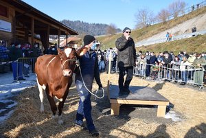 Sie war mit 4500 Franken das teuerste Tier an der Auktion: Gulliver Reni von Fritz Bürki, Schangnau BE.