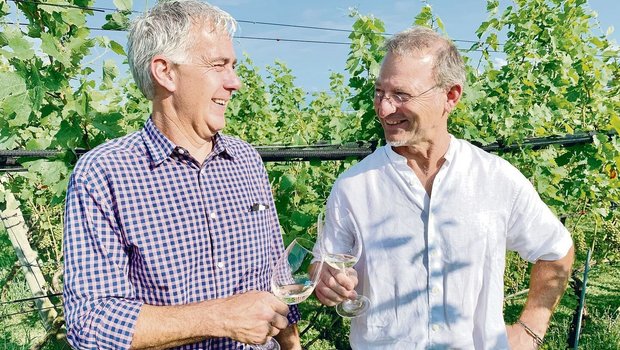 Der bisherige Präsident, Peter Krummenacher (r.), und der neue Präsident, Markus Reinhard, im Rebberg Haselrain in Oberkirch. 