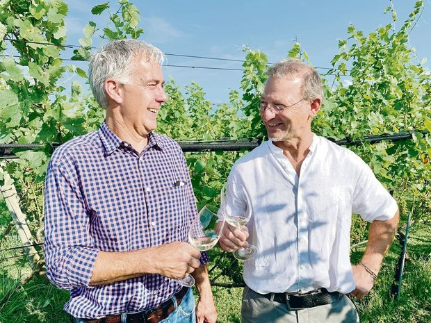 Der bisherige Präsident, Peter Krummenacher (r.), und der neue Präsident, Markus Reinhard, im Rebberg Haselrain in Oberkirch. Der bisherige Präsident, Peter Krummenacher (r.), und der neue Präsident, Markus Reinhard, im Rebberg Haselrain in Oberkirch.