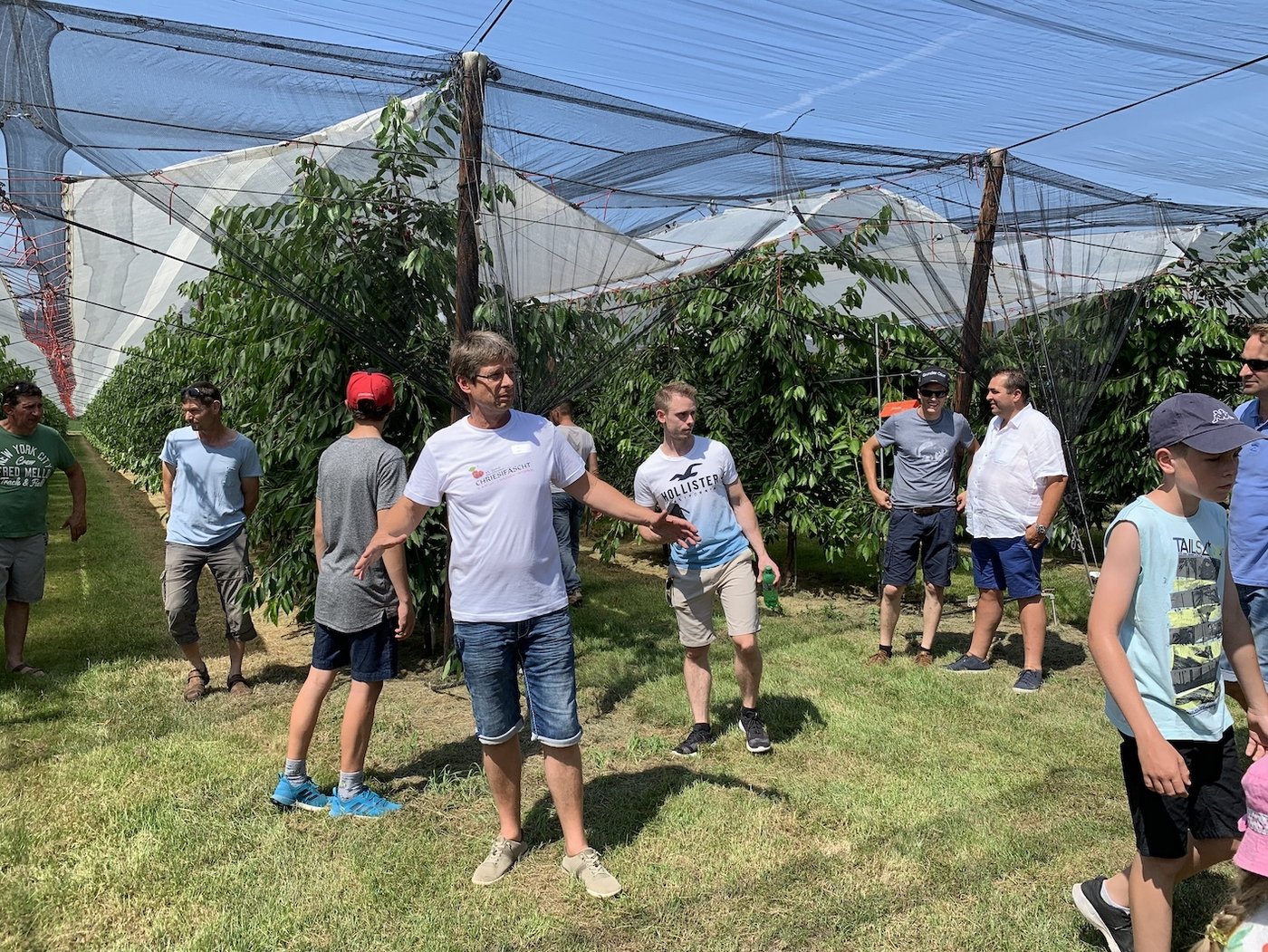 Betriebsleiter Jacky Wildisen informiert über die Produktionstechnik in den mit Netzen und Folien geschützten Kirschenanlagen.