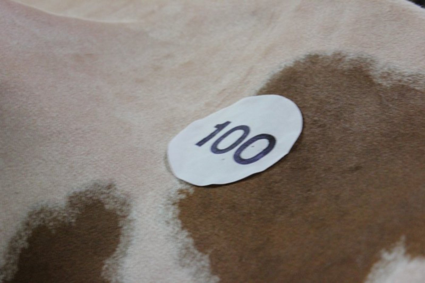 Die Katalognummer ist gut sichtbar angebracht.