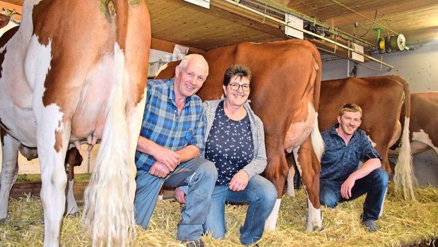 Fritz und Heidi Zurbrügg mit Sohn Martin sind passionierte Swiss-Fleckvieh-Züchter. Im Stall steht bei ihnen mehr als eine Schönheit.