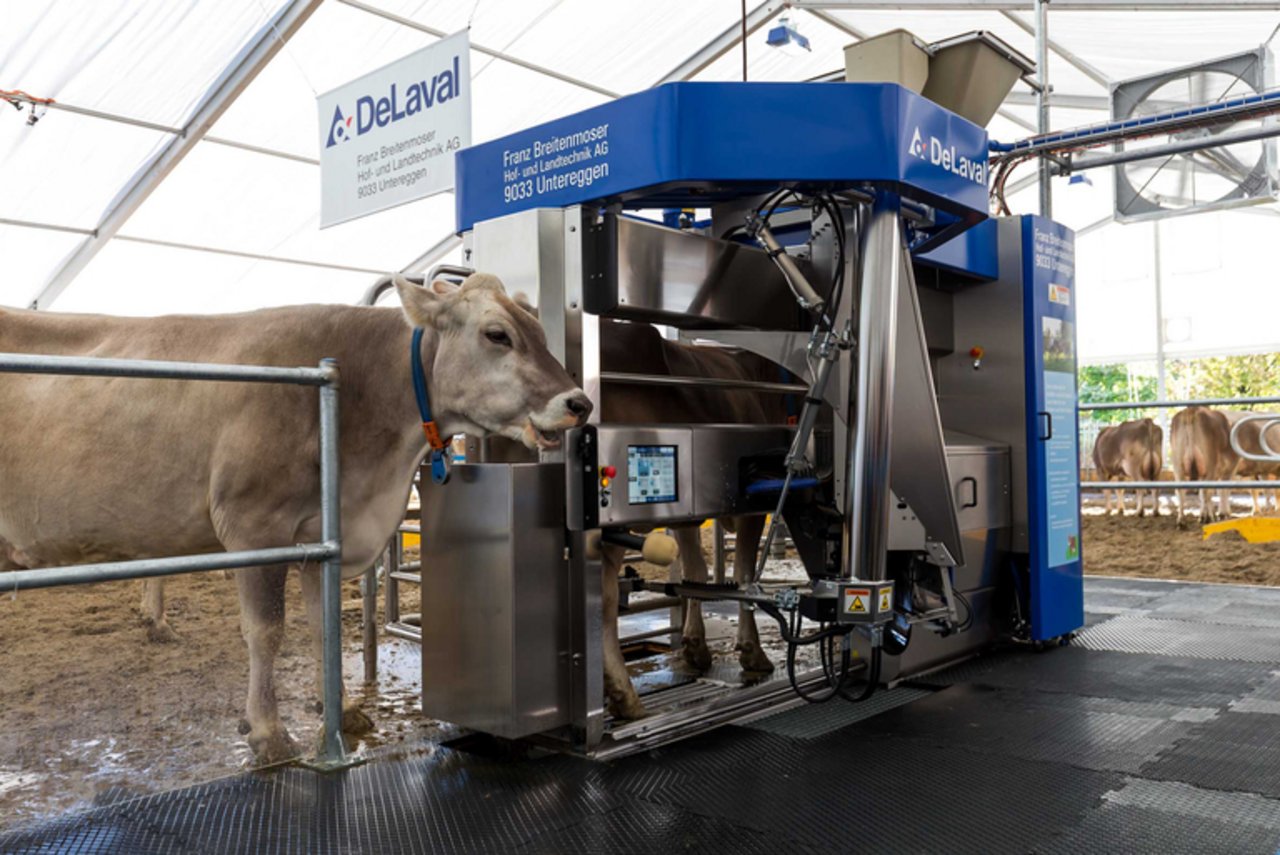 Olma Messen sind mit Geschäftsjahr zufrieden bauernzeitung.ch