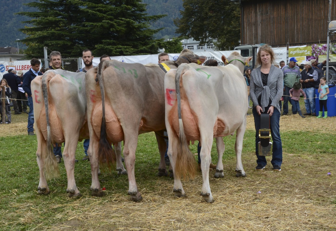 Das Podest der Miss-Wahlen (v. l. n. r.): Jongleur Evolet, Manuel Arnold, Erstfeld; Jongleur Fleur, Manuel Arnold, Erstfeld; Vigor Vicky, Hansruedi Arnold, Bürglen.