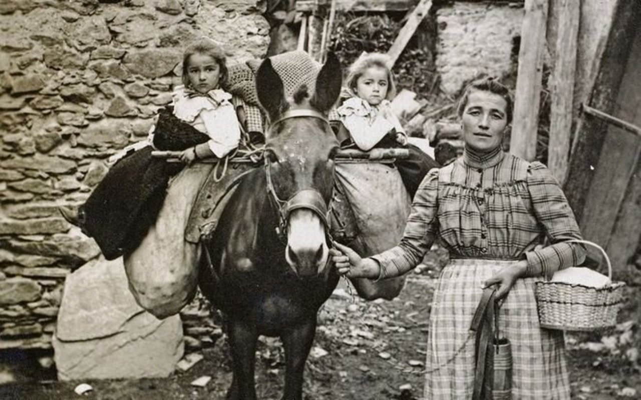 Nicht selten besassen und nutzten mehrere Familien gemeinsam ein Maultier.