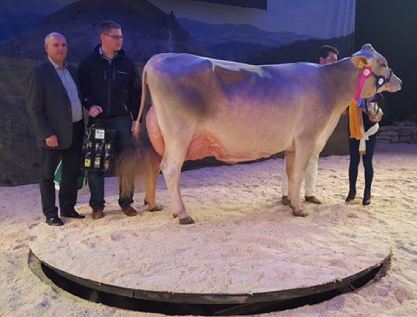 Palma war die grosse Dominatorin der Europameisterschaft, das war bei anderen Ausstellungen auch schon anders. (Bild Braunvieh Schweiz)