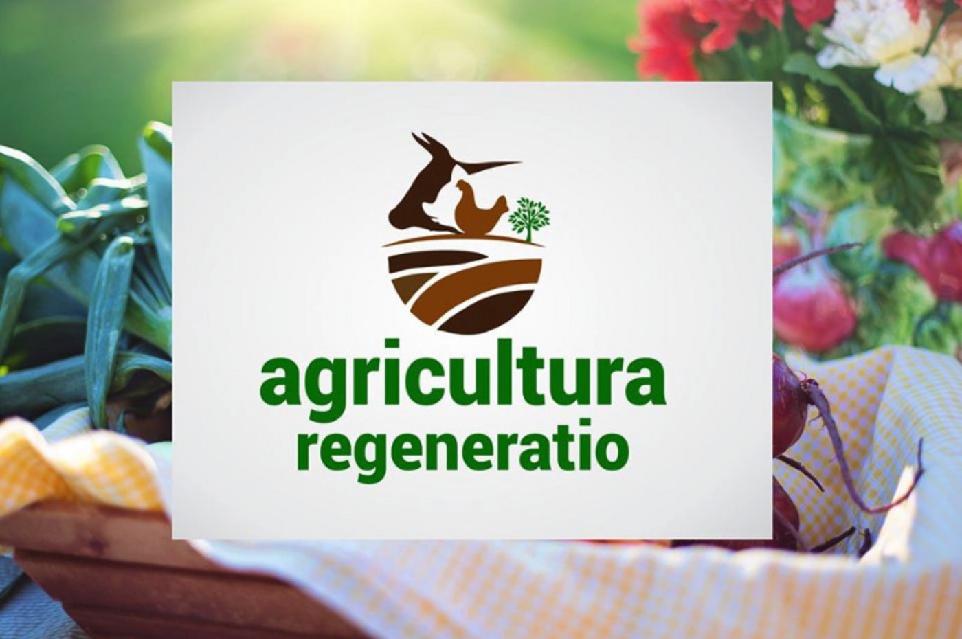 Der neue Verband orientiert sich an Prinzipien, ist offen für alle Interessierten und hat keine Richtlinien. (Bild Agricultura Regeneratio)