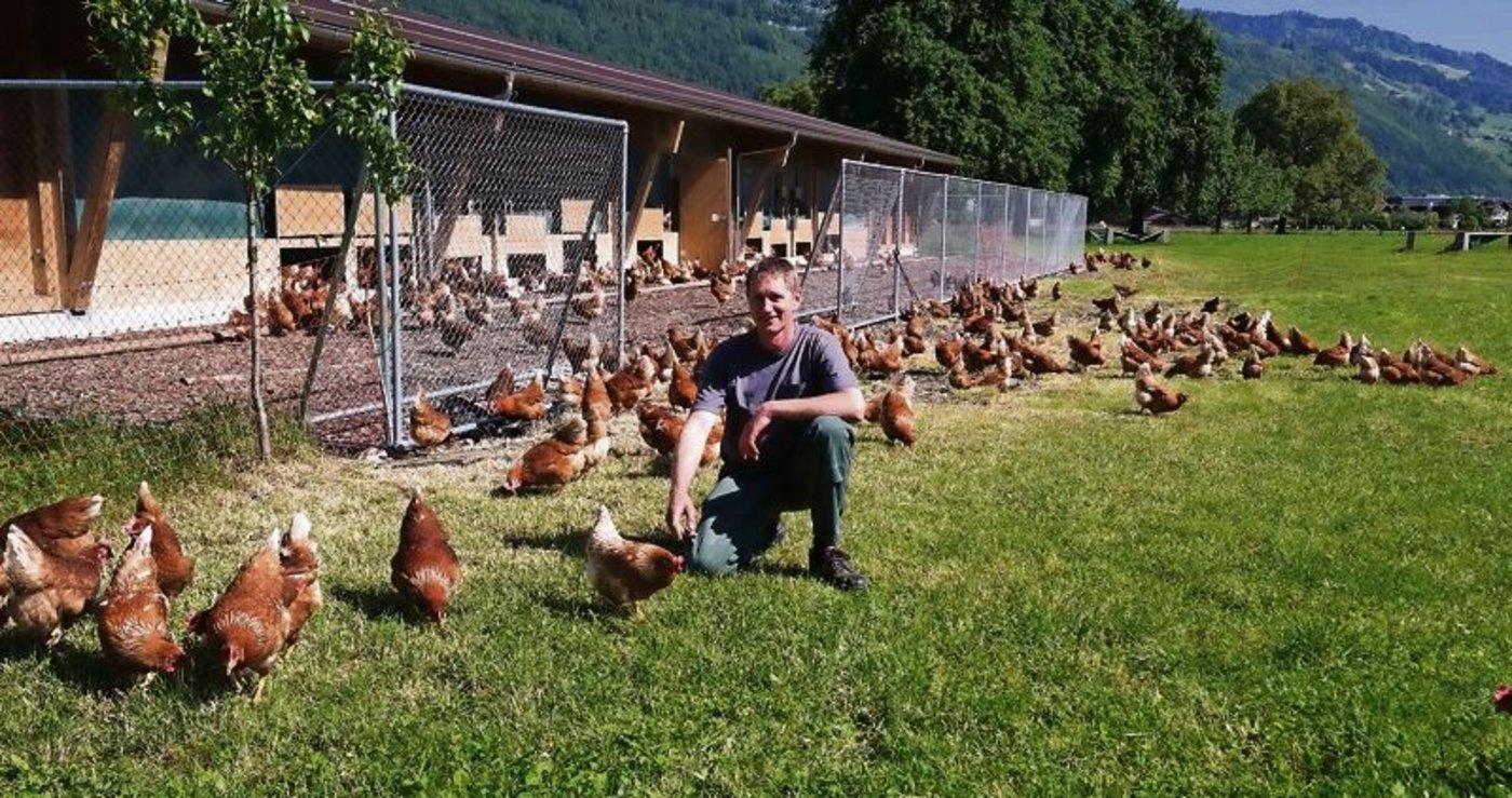 Der Biolegehennenhalter Norbert Fischer auf der Kaisermatt in Stans-Oberdorf NW. (Bild Josef Kottmann)