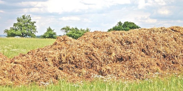 Die Mietenstandorte  sind so zu wählen,  dass kein Sickerwasser in Oberflächengewässer fliessen kann.  (Bild pxhere)
