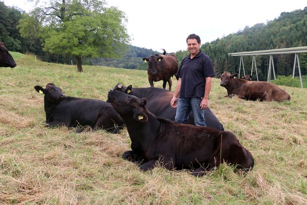 Hansruedi Zimmermann hat trotz anfänglicher Schwierigkeiten viel Freude an seinen Schweizer Wagyu-Kühen. (Bilder Ann Schärer)
