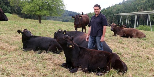 Hansruedi Zimmermann hat trotz anfänglicher Schwierigkeiten viel Freude an seinen Schweizer Wagyu-Kühen. (Bilder Ann Schärer)