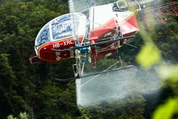 Vor allem wenn PSM mit Helikoptern oder Drohnen ausgebracht werden, besteht ein grosses Risiko für Abdrift. (Bild Ephraim Bieri/Greenpeace)