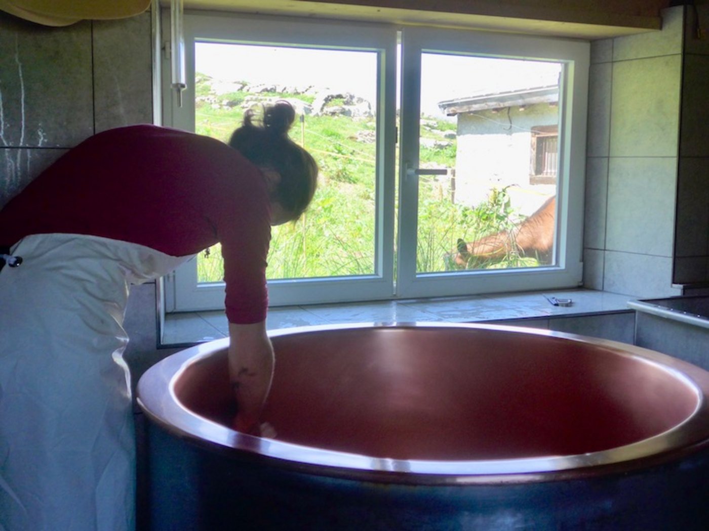 Zusennin Daniela Hösli beim Reinigen des Kessis, während draussen eine der Ziegen anderweitig beschäftigt ist. 