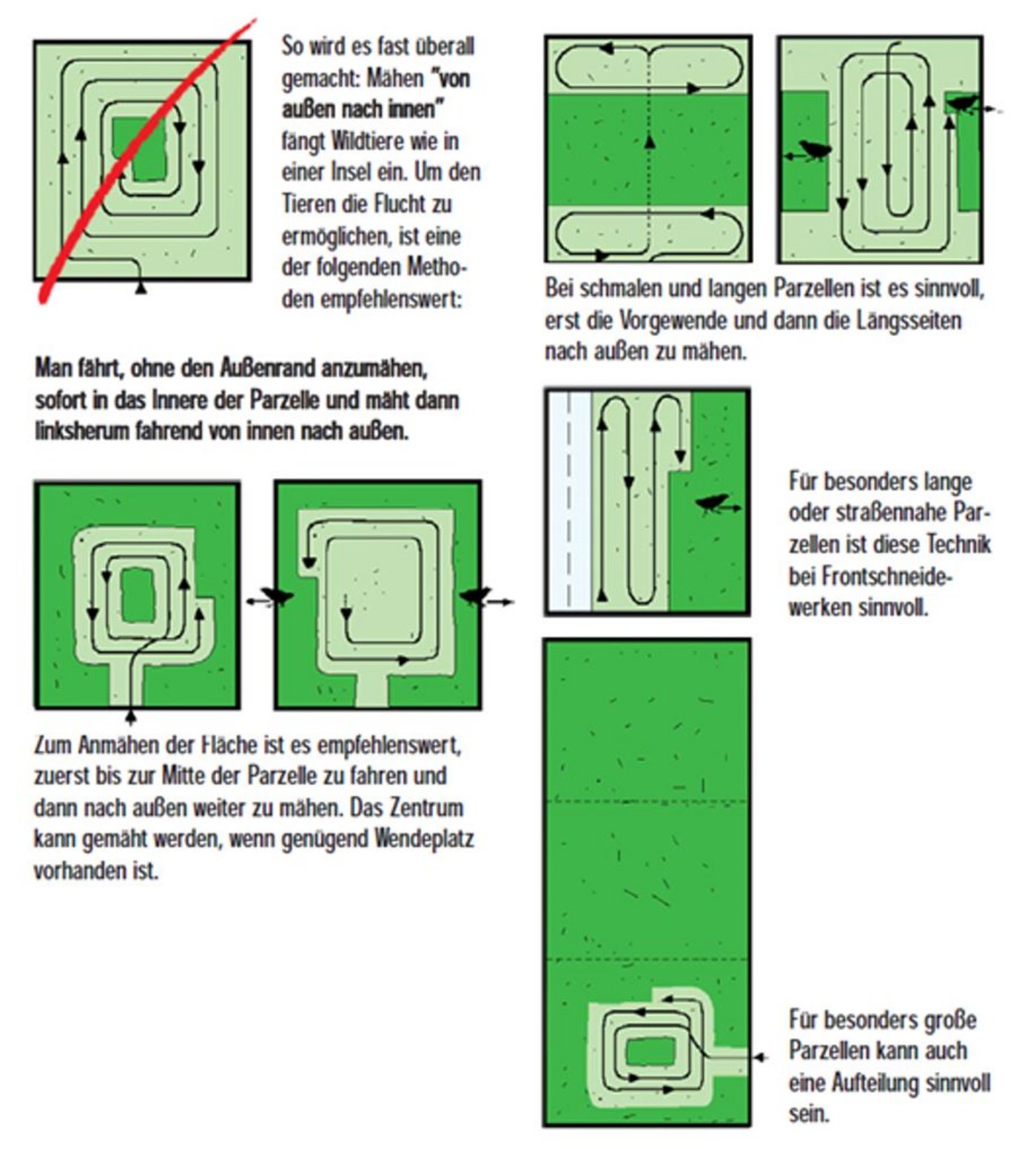 So soll gemäht werden, um Rehkitze und andere Kleinlebewesen zu schützen. (Grafik Landesjagdverband und Landwirtschaftskammer Nordrhein-Westfalen)
