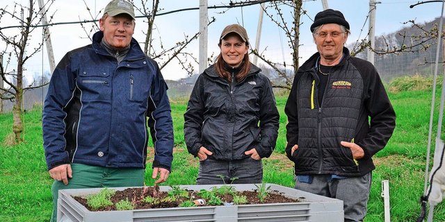Landwirt Marcel Itin, Helena Römer, verantwortliche Versuchsleiterin seitens des Ebenrains, und Franco Weibel, pensionierter Obstbauberater, bei der Freilassung der vierfleckigen Kugelmarienkäfer Ende März.   