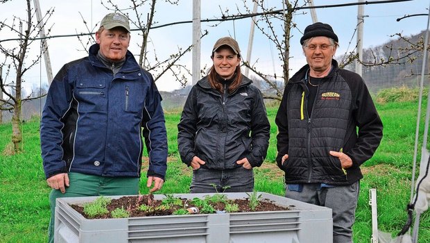 Landwirt Marcel Itin Landwirt Marcel Itin, Helena Römer, verantwortliche Versuchsleiterin seitens des Ebenrains, und Franco Weibel, pensionierter Obstbauberater, bei der Freilassung der vierfleckigen Kugelmarienkäfer Ende März.