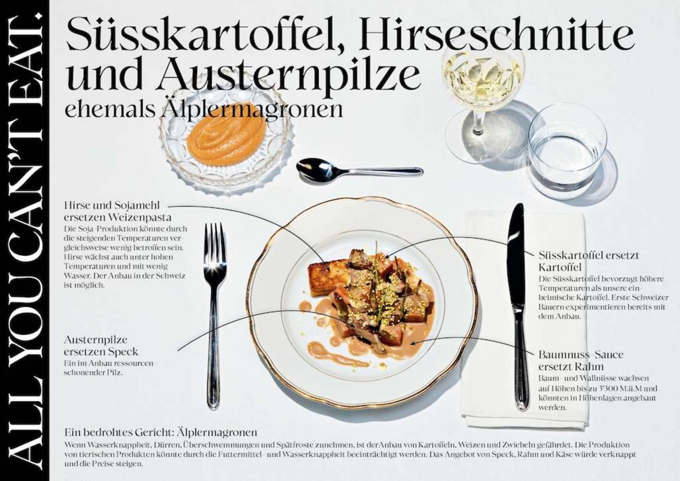Süsskartoffeln sind ein Windengewächs und ertragen hohe Temperaturen weit besser als Kartoffeln. (Bild Umweltallianz)