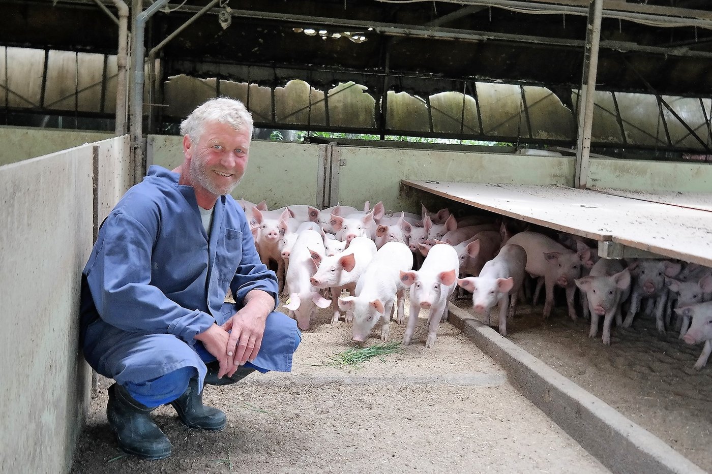 Als professioneller Mastjagerproduzent betreut Eugen Wüst 150 Muttersauen in arbeitsteiliger Ferkelproduktion.