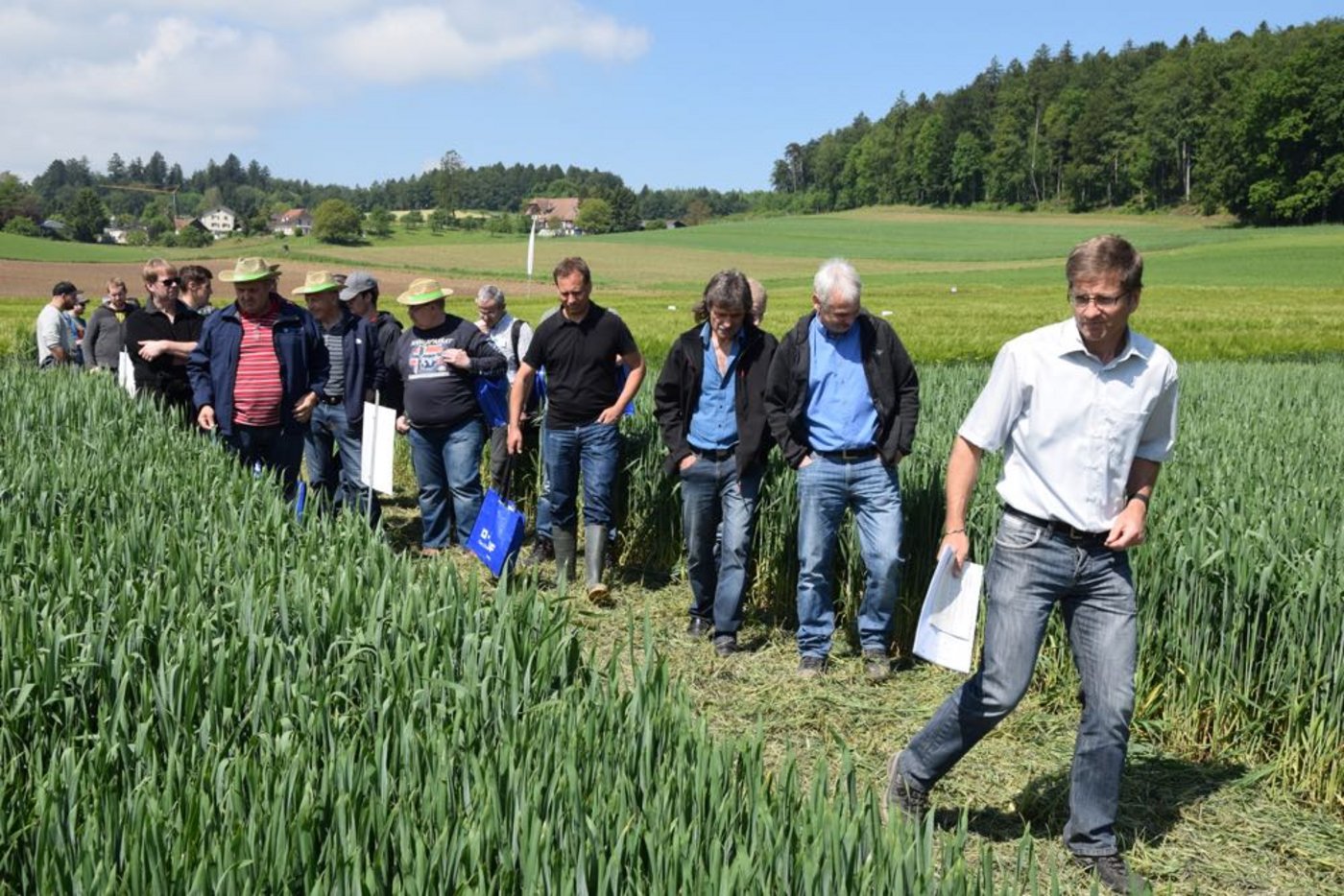 Karl-Heinz Camp von DSP führt durch die Weizenversuche in Biberist. 