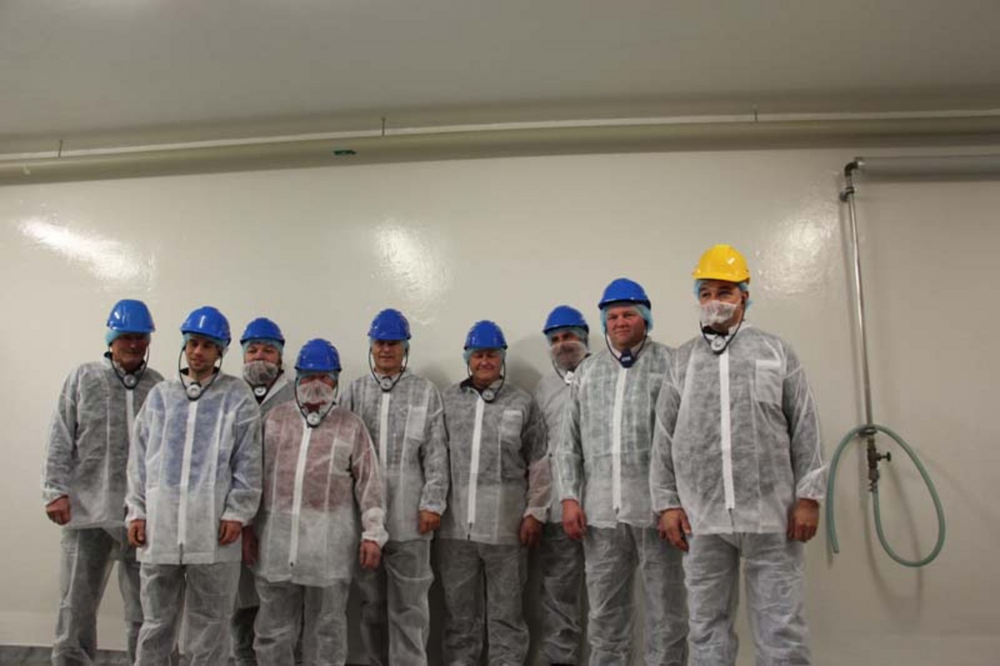 Die Kälbermäster-Gruppe. 