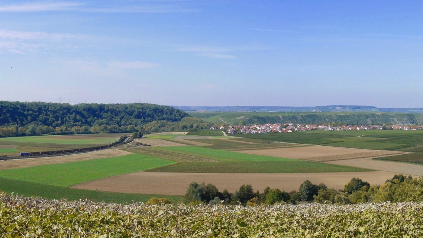 Baden-Württembergs Bauern produzieren häufig Getreide und Milch. Die Landwirtschaftsbetriebe wie hier in Lauffen am Neckar sind kleinstrukturiert. (Bild pd)