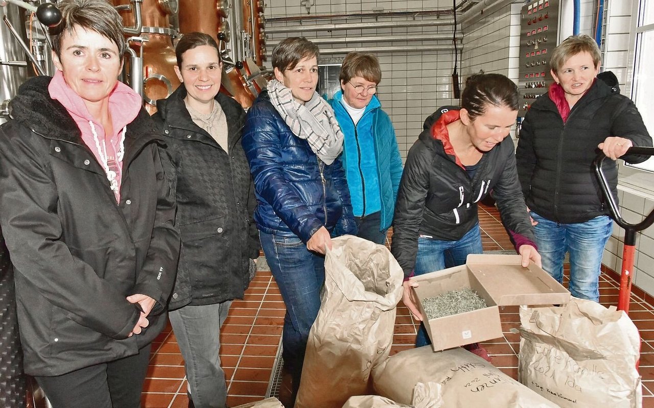 Diese Frauen produzieren neun der 42 Kräuter, die im Likör Appenzeller Alpenbitter drin sind.