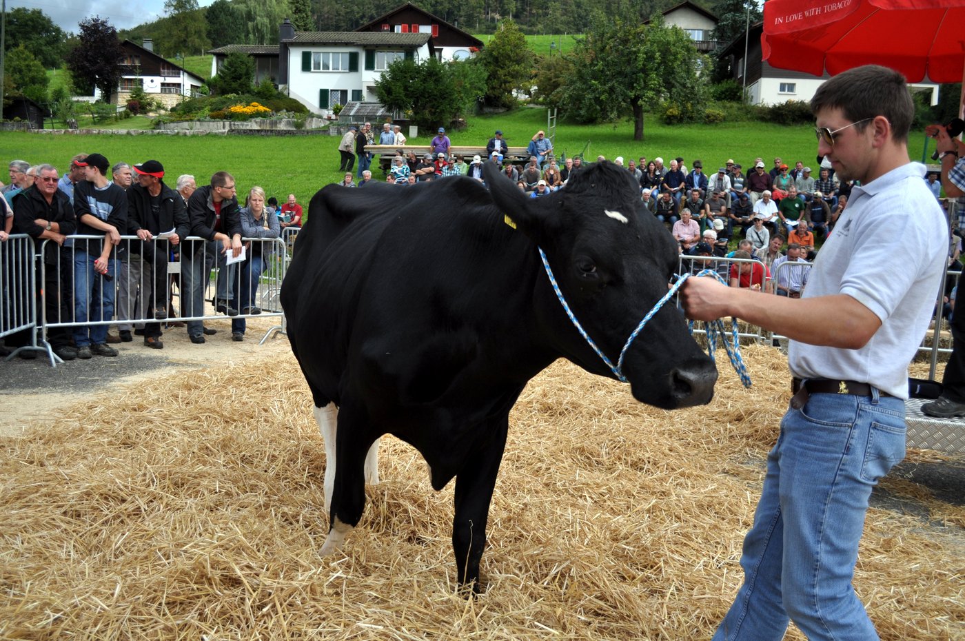 76 Tiere wechselten am Mittwoch in Langenbruck ihren Besitzer. Die Verkaufsquote lag bei 87%.
