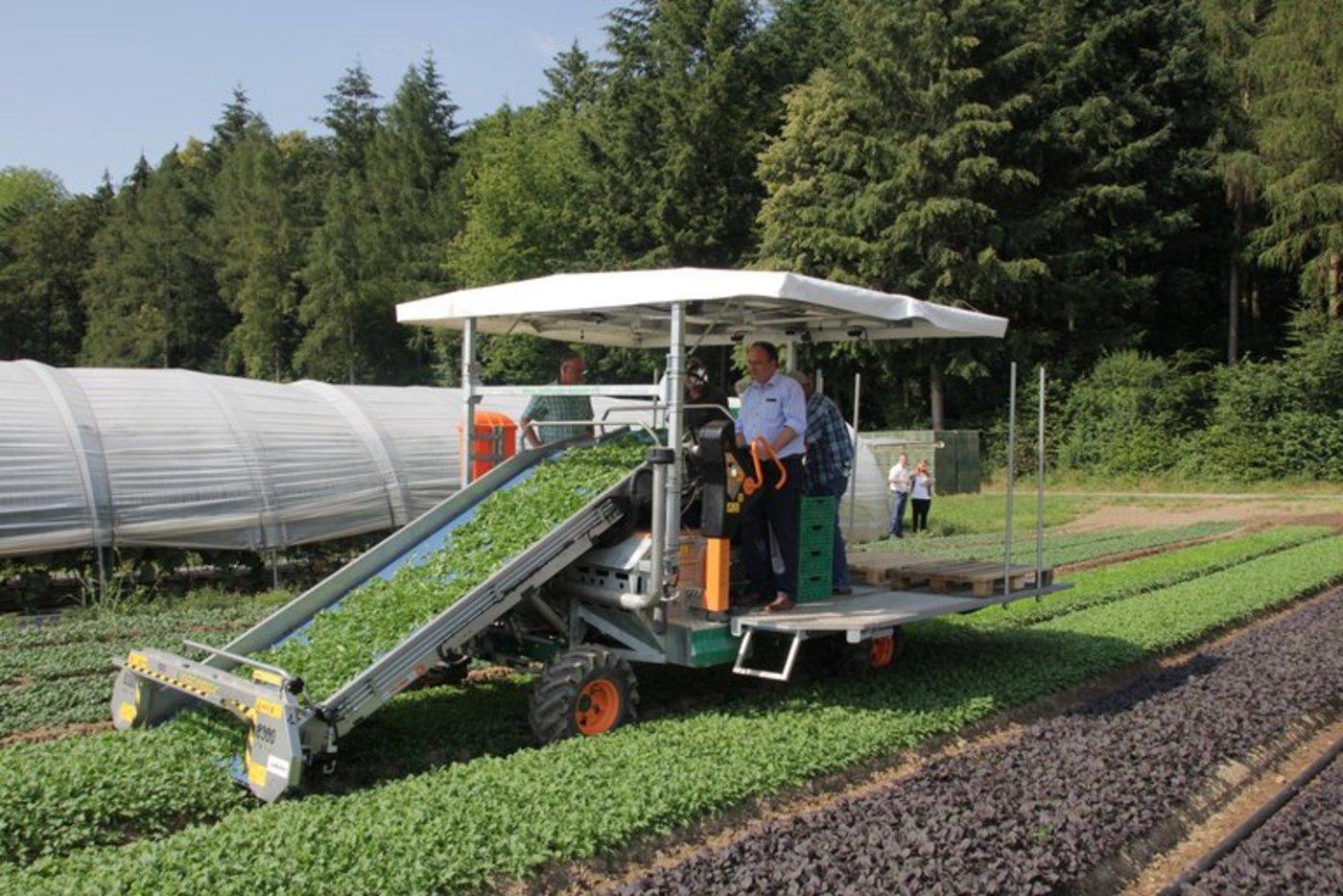 Markus Dieth am Steuer bei der Salaternte. (BVA)