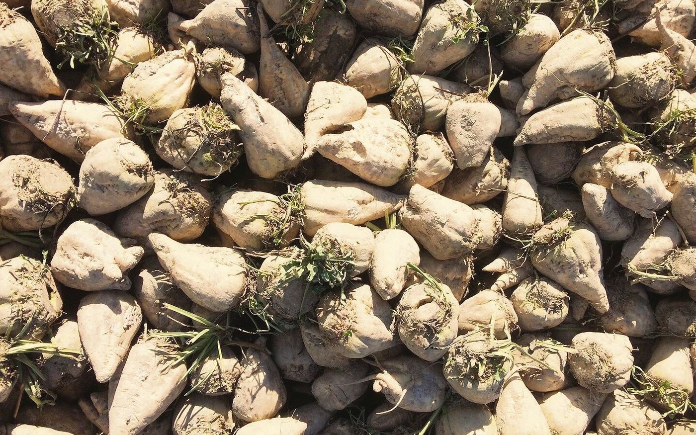 Andreas Blank: «Im Falle einer Schliessung müsste der Verwaltungsrat entscheiden, ob Investitionen noch sinnvoll sind, wenn dann auch die verbleibende Fabrik nach einigen Jahren gefährdet wäre».