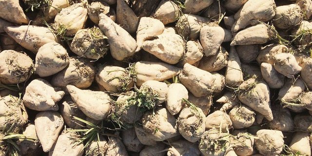 Andreas Blank: «Im Falle einer Schliessung müsste der Verwaltungsrat entscheiden, ob Investitionen noch sinnvoll sind, wenn dann auch die verbleibende Fabrik nach einigen Jahren gefährdet wäre».