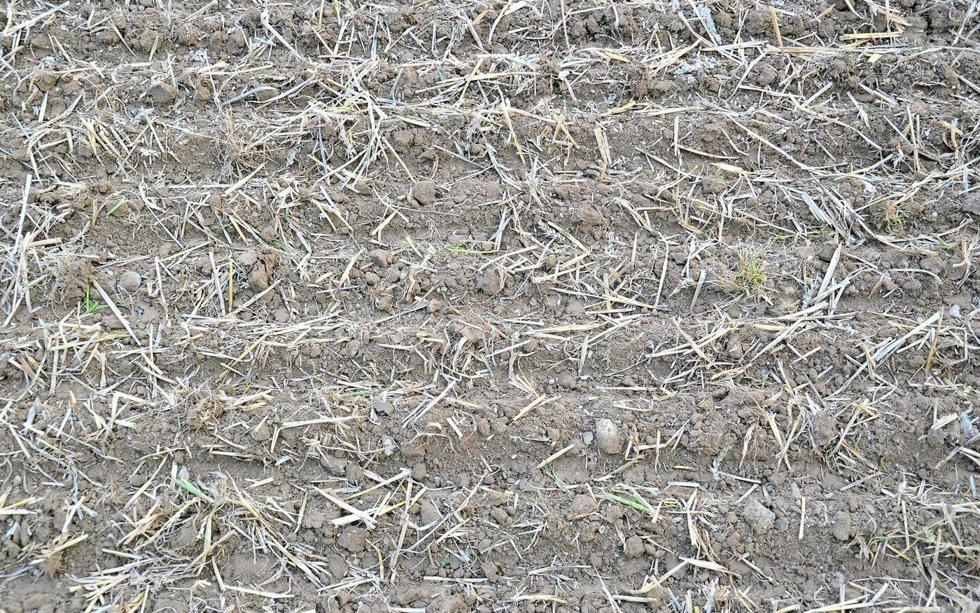 Im Gespann Lemken Zirkon 8 und Saphir 9 öffnet die Kreiselegge den Boden breitflächig, es folgen Doppelscheibenscharen mit einzelner Tiefenführung.