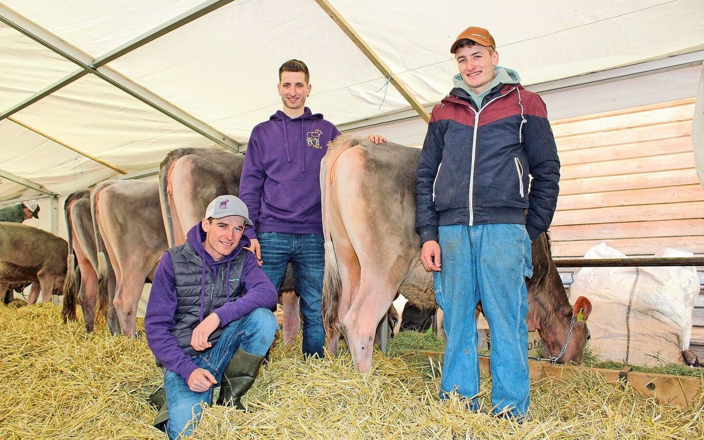 Die Gebrüder Sam, Tom und Noe Salzgeber (v. l. n. r) sind ein eingespieltes Team mit einer gemeinsamen Leidenschaft. Unter Züchtern kennt man sie auch als «Three S». 