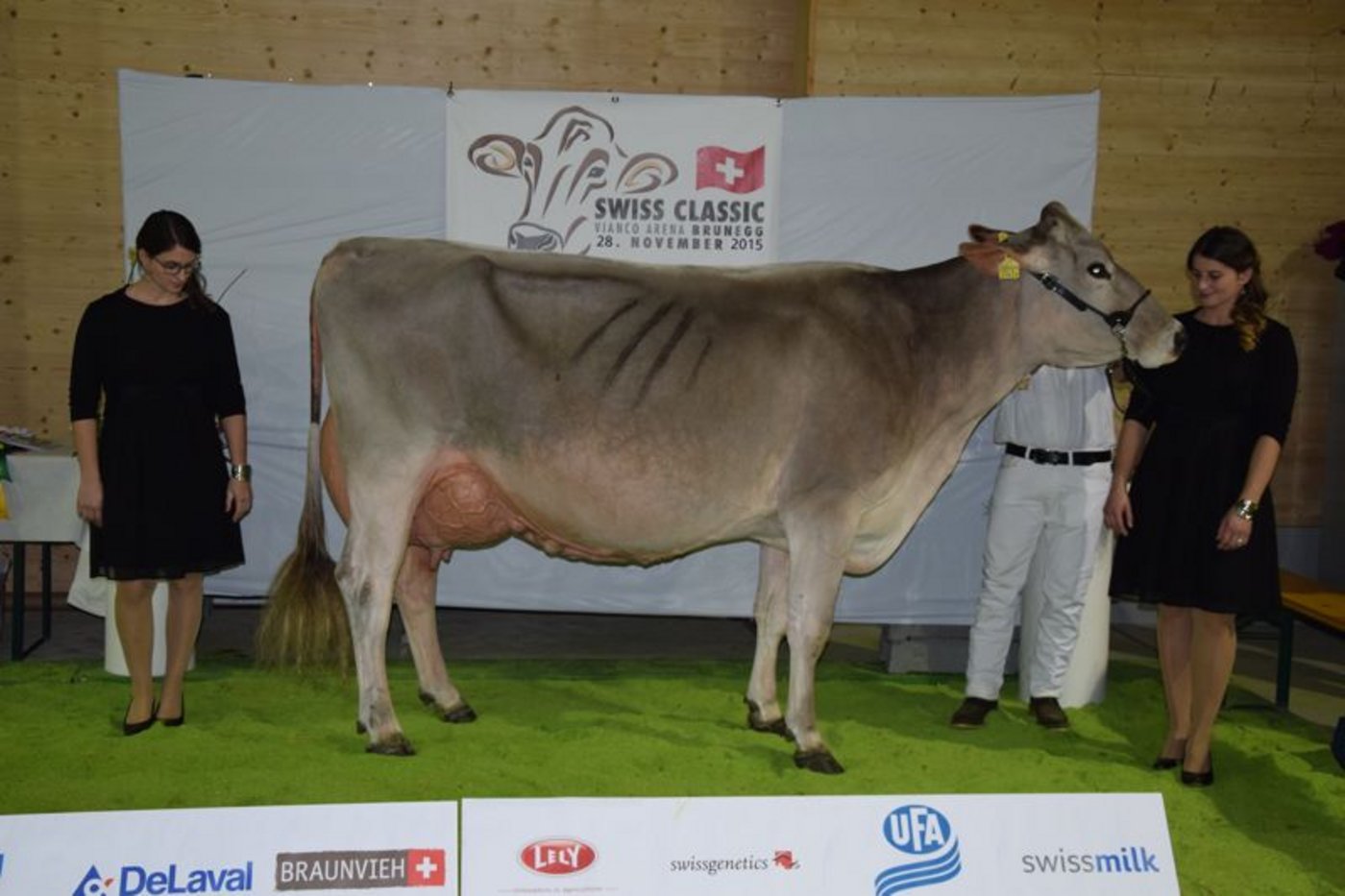 Vize-Grand-Champion ist Truaisch Flli. Panner Fortuna von Matthias Vitali aus Olivone TI.