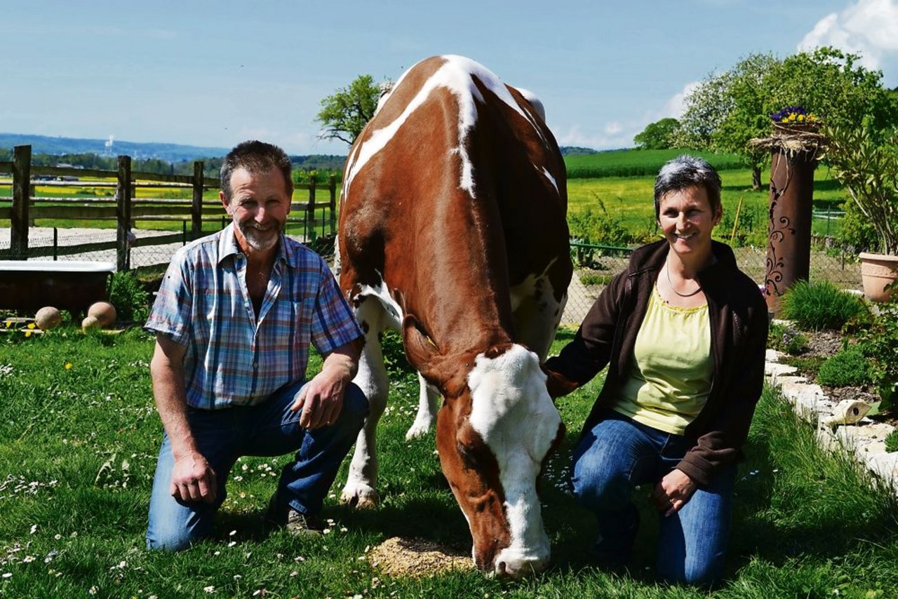 Hanspeter und Käthi Schmitz aus Wiedlisbach BE mit ihrer 170'674er-Kuh Joliam Lisa. (Bild: Peter Fankhauser)