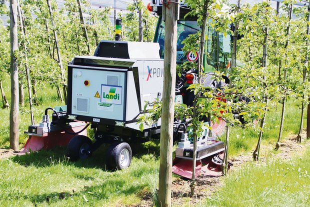 Der X-Power hält die Baumreihen von Unkraut frei Mit dem X-Power ist die Unkrautbekämpfung zwischen den Baumreihen möglich. Über Elektroden wird Strom in die Grünpflanze eingeleitet, was sie nach wenigen Minuten zum Absterben bringt. (Bild RoMü)