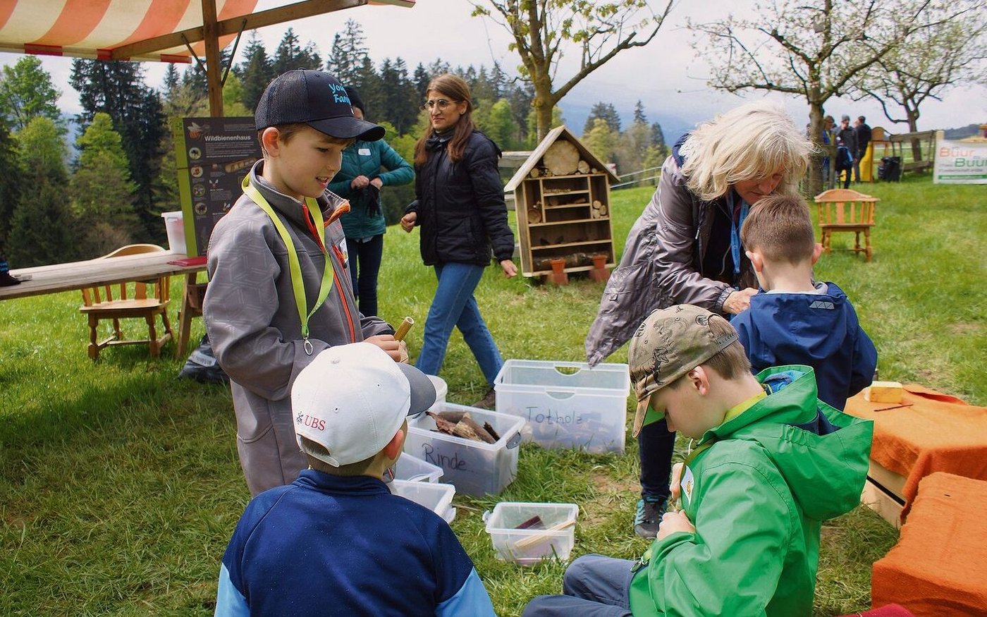 Im blühenden Hochstamm-Obstgarten der Familie Emmengger vom Büelgaden wurden Wildbienenhäuser gebaut.