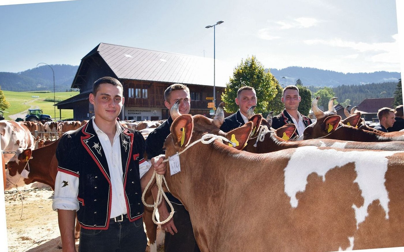 Die Klasse 3 war Dürrenmatts Klasse. Die ersten vier Kühe gehören ihnen, alle wurden mit dem Maximum von 44 44 94 punktiert.