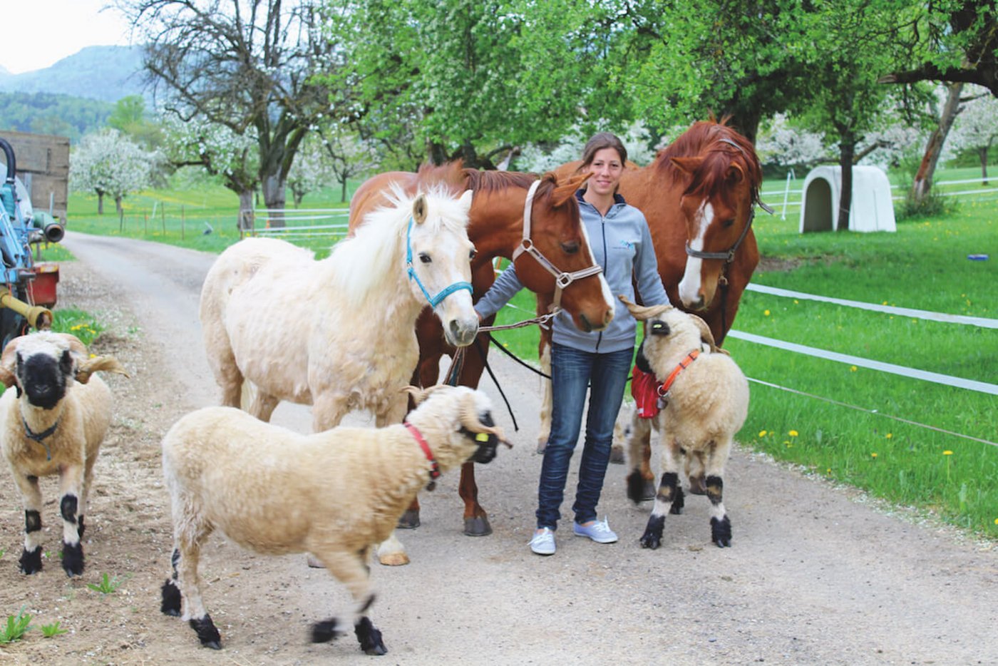 Caroline Bohler hat die erste Tierspitex der Schweiz gegründet. (Foto: Karin Pfister)