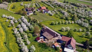 Traditionelle Obstgärten wie auf dem Betrieb Mausacker in Steinebrunn TG können produktive Agroforstsysteme sein. Die Fläche unter den Bäumen kann als Weide oder Acker dienen.