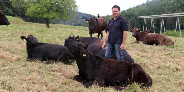 Hansruedi Zimmermann aus Villmergen AG gilt als Wagyu-Pionier in der Schweiz.
