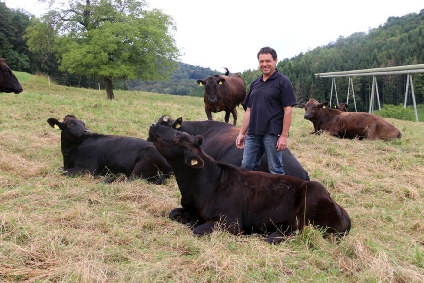 Hansruedi Zimmermann aus Villmergen AG gilt als Wagyu-Pionier in der Schweiz.